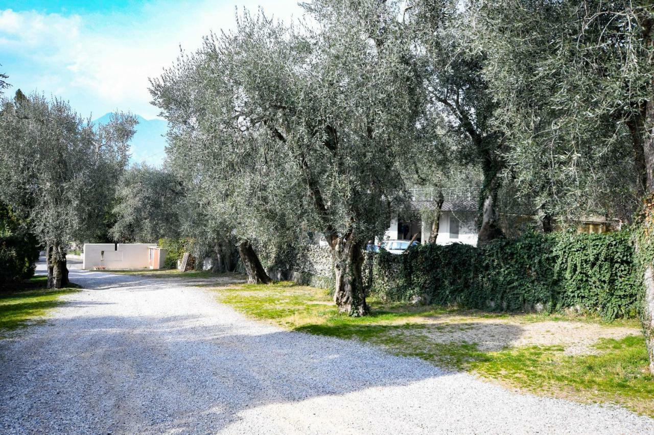 Residence Kormorano Malcesine Lake View Экстерьер фото